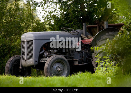 Grau-Traktor auf einem Bauernhof in der Nähe von Ast Buche Chiddingstone genommen Stockfoto