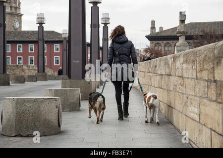 Junge Frau geht zwei Hunde auf der Stone Bridge von Zaragoza Stockfoto