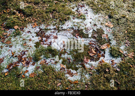 Eisformationen Tote Gras im winter Stockfoto