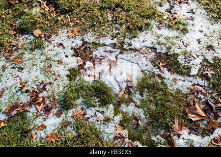 Eisformationen Tote Gras im winter Stockfoto