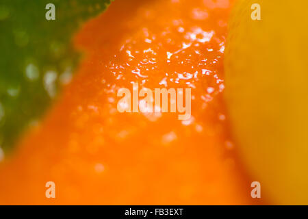 Schalen von Zitrusfrüchten mit drei Früchte. Limette, Orange und Zitrone schälen mit flachen Fokus Stockfoto