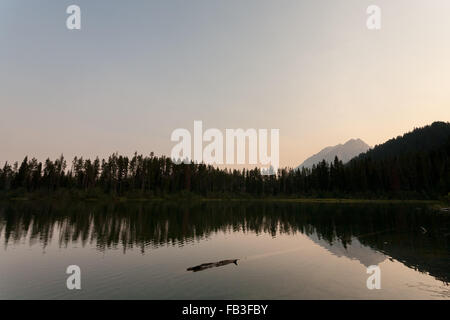 Reflexionen in den stillen Wassern des Bearpaw-Sees, Grand-Teton-Nationalpark, Wyoming angezeigt Stockfoto