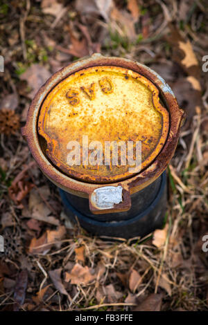 Rostige Gas Pipe Zugangspunkt mit Laub im Hintergrund Stockfoto