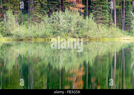 Reflexionen in den stillen Wassern des Bearpaw-Sees, Grand-Teton-Nationalpark, Wyoming angezeigt Stockfoto