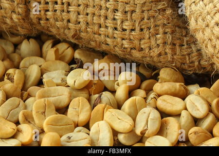 Hintergrund der rohen Kaffeebohnen in meschotschek Stockfoto
