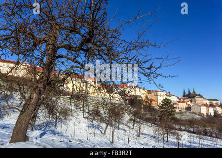 Winter in Prag, Tschechische Republik Stockfoto