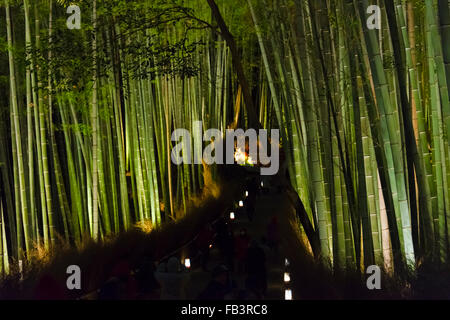 Nachtansicht des beleuchteten Bambuswald hinter Tenryuji Tempel in Arashiyama während Hanatoro, Kyoto, Japan Stockfoto