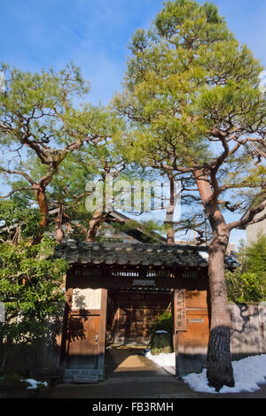 Pinien und historische Samurai Residenzen in Nagamachi Samurai District, Kanazawa, Präfektur Ishikawa, Japan Stockfoto