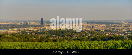 Wien, Blick vom Berg Am Himmel, Wien, Österreich, Mitteleuropa Stockfoto