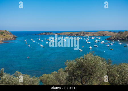 Olive Garden des Künstlers Salvador Dali, Portlligat, Cap de Creus, Costa Brava, Girona, Katalonien, Spanien Stockfoto