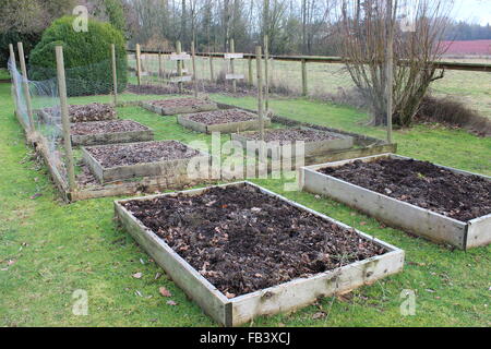Garten im Winter Stockfoto