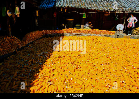 Baisha Dorf machte Mais trocknen,, Dorfbewohner, Innenhöfe, Kunst, Hand geschlagenen Kupfer Objekte, Lijiang, Yunnan, Volksrepublik China, Volksrepublik China Stockfoto