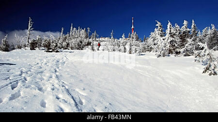 höchsten Hügel der Moravskoslezske Beskydy Bergen Lysá Hora Hügel mit viel Schnee, kleine Bäume und Fernsehturm im schönen Wintergarten d Stockfoto