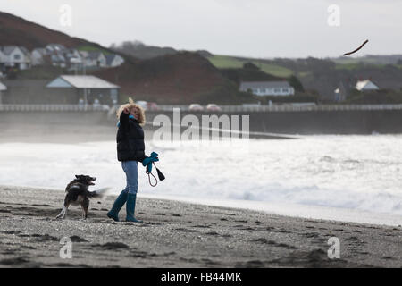 Frau am Strand werfen einen Stick für ihren Hund Stockfoto