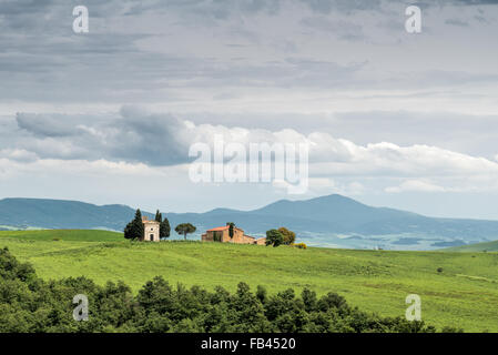 Kapelle des Vitaleta auf dem Kamm eines Hügels in Val d ' Orcia in der Nähe von San Quiricio Stockfoto