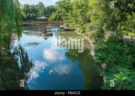 Japanischer Garten, Szczytnicki Park, Wroclaw, Polen Stockfoto