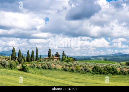 Blick auf einer Farm in der Nähe von Pienza Stockfoto