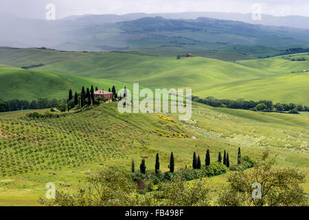 Ackerland unter Pienza in der Toskana Stockfoto