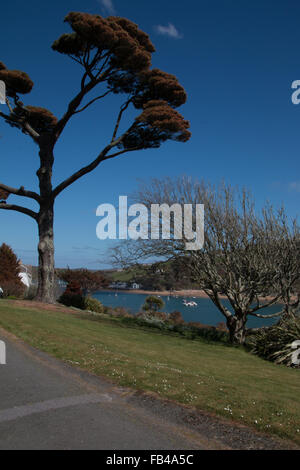 Ansicht von Salcombe Mündung von Woodcot Gärten an einem Sommertag Stockfoto