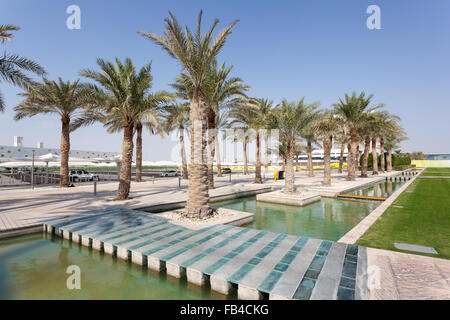 Palmen auf dem Campus in Doha, Katar Stockfoto