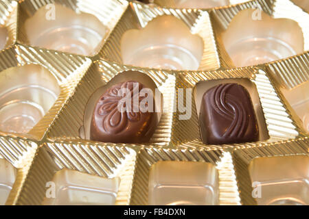 Zart und verführerisch Einzelstücke von Schokolade in goldene Schachtel Stockfoto