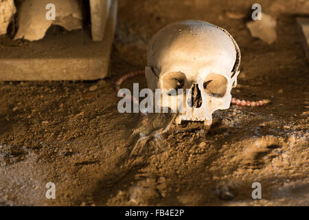 Beinhaus in Neapel in der Verschütteten von Pest und Cholera sind Stockfoto