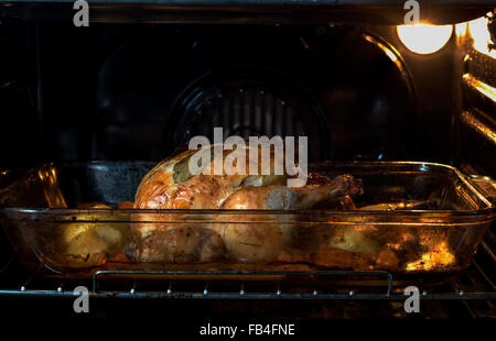 Gebratenes Huhn Stockfoto