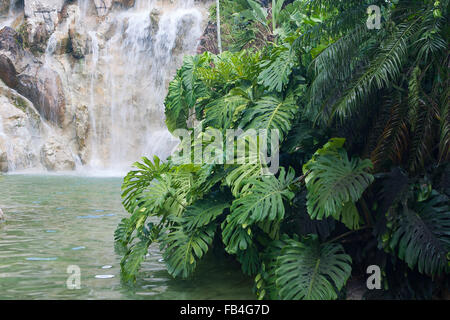 Künstlicher Wasserfall im Jardin Botanique de Deshaies, Insel Guadeloupe Stockfoto