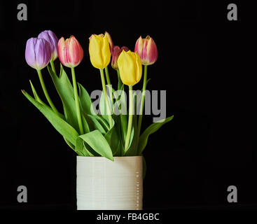 Tulpen schwarzen Hintergrund Stockfoto