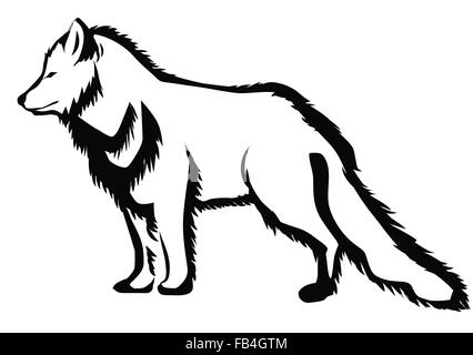 Polarfuchs abstrakte Silhouette auf weißem Hintergrund Stock Vektor