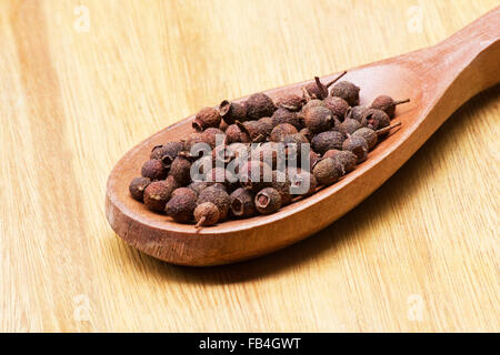 Piment, Pimenta Dioica in einem Holzlöffel auf hölzernen Hintergrund Stockfoto