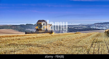 Kombinieren Sie Ernte einer Ackerfläche Stockfoto