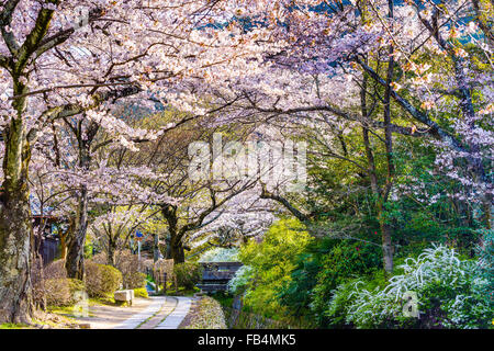 Kyoto, Japan am Philosophenweg im Frühling. Stockfoto
