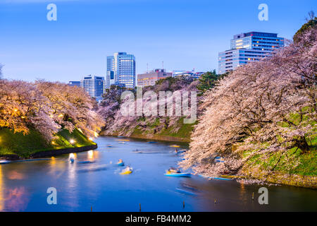 Tokyo, Japan am Chidorigafuchi Imperial Palace Graben im Frühling. Stockfoto