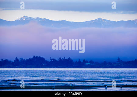 Olympic Mountains von East Sooke auf Vancouver Island gesehen Stockfoto