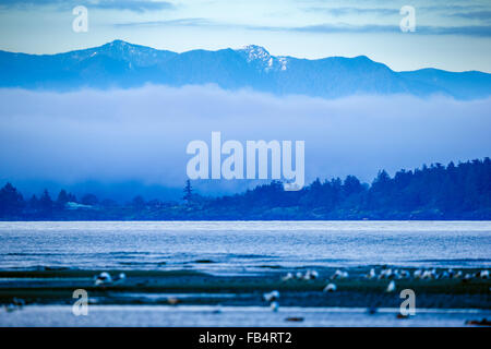 Olympic Mountains von East Sooke auf Vancouver Island gesehen Stockfoto