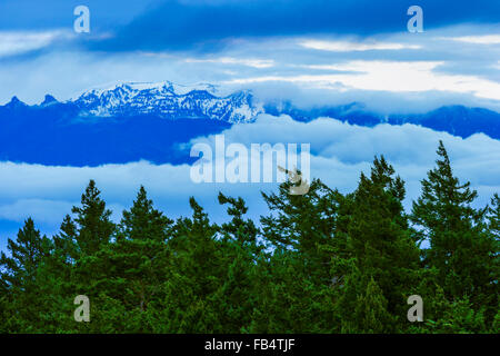 Olympisches Angebot gesehen Fron Vancouver Island Stockfoto