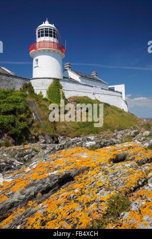 Leuchtturm an der Crookhaven Bay auf Mizen Halbinsel, County Cork, Irland Stockfoto