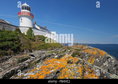 Leuchtturm an der Crookhaven Bay auf Mizen Halbinsel, County Cork, Irland Stockfoto