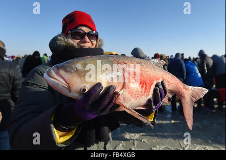 (160110)--Peking, 10. Januar 2016 (Xinhua)--ein Tourist hält einen großen Fisch auf dem Chagan-See in Songyuan City, Nordost-China Jilin Province, 8. Januar 2016. Chagan See, der zum traditionellen Winter Angeln, die bis in prähistorische Zeiten zurückreicht bekannt ist, ist der einzige Ort, der die älteste mongolische Fangmethode speichert. Während der jährlichen Winter Angeln stattfindende Festival ist um zu erinnern, die alte Winter Fischertradition, Fischer zunächst viele Bohrungen durch das dicke Eis und dann ein Netz unter dem Eis. Das Netz wird schließlich von einem Pferd-Zeichnung Winde herausgezogen. Der See gesetzt einen Guinness Stockfoto