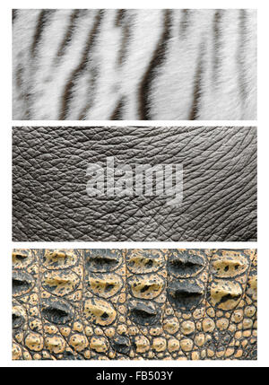 Tiere-Haut Stockfoto
