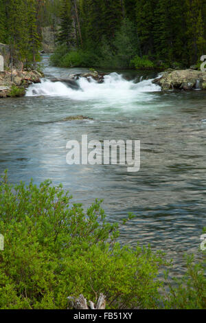 Clarks Fork des Yellowstone bei Clarks Fork Picknickplatz, Gallatin National Forest, Beartooth Scenic Byway, Montana Stockfoto