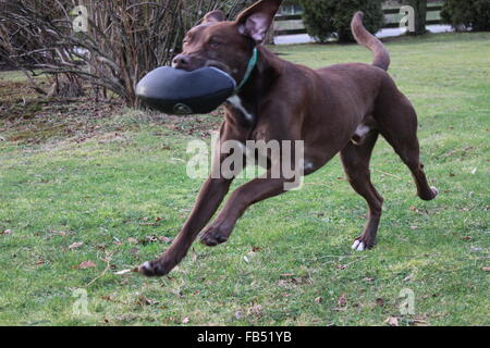 Ball spielen Stockfoto