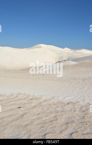 Weißen Sanddünen im Nambung National Park, Western Australia Stockfoto