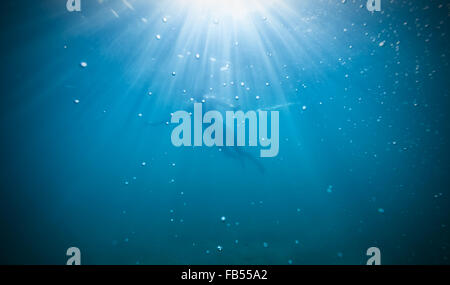 Silhouette des weiblichen Freediver durch Sonnenstrahlen schweben. Stockfoto