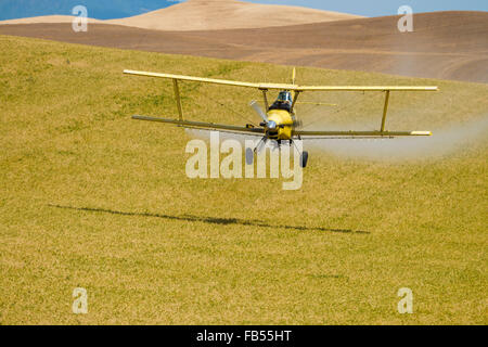 Sprühflugzeug sprühen Herbizid auf Feldern Garbanzo Bohnen in der Palouse Region Eastern Washington Stockfoto