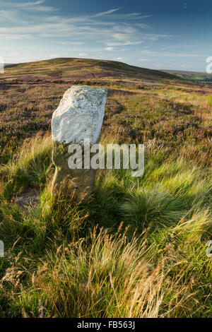 Alten Grenzstein am Castleton Rigg mit Blick auf Brown Hill im oberen Esk Valley, North York Moors National Park Stockfoto