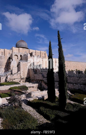 Blick auf den archäologischen Park und die El-Aksa-Moschee entlang der südlichen Mauer von Haram al Sharif vom Jerusalemer Archäologischen Park, Altstadt Ost-Jerusalem Israel Stockfoto