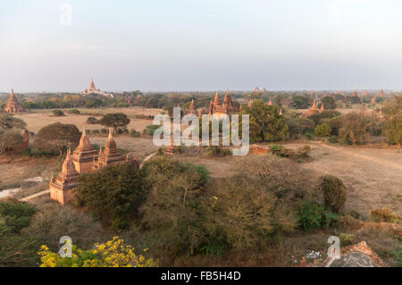 Bagan-Ebenen in frühen Morgenstunden, mit Tausenden von Tempeln. Bagan, Myanmar (Burma). Stockfoto