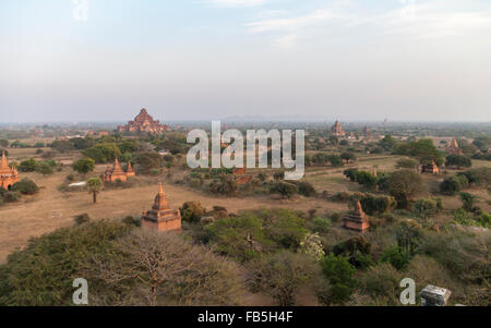 Bagan-Ebenen in frühen Morgenstunden, mit Tausenden von Tempeln. Bagan, Myanmar (Burma). Stockfoto